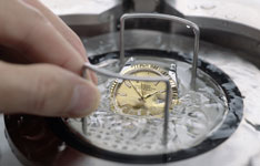 萧邦腕表加一节表节